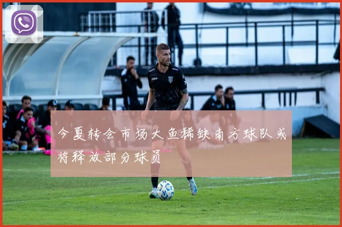 今夏转会市场大鱼稀缺南方球队或将释放部分球员